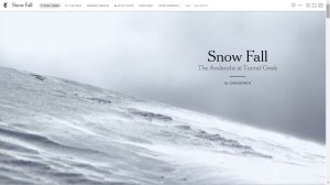 Snowfall NYTimes One Page Website Designs