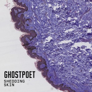 Ghostpoet Shedding Skin Dot Dash Albums of 2015